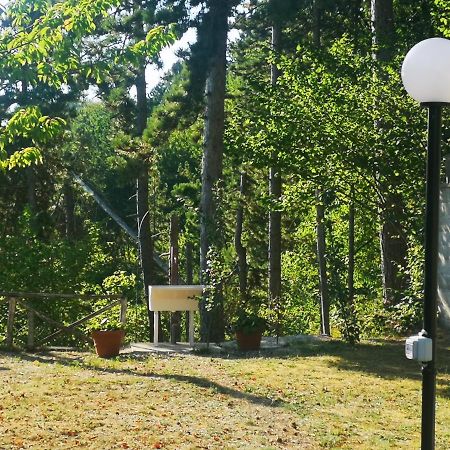 Poggio Eco B&B アスコリ・ピチェーノ エクステリア 写真