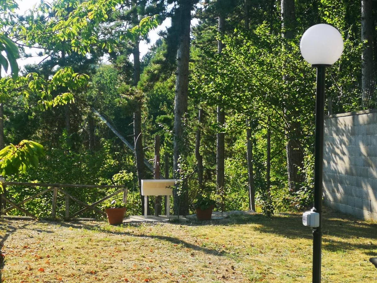 Poggio Eco B&B アスコリ・ピチェーノ エクステリア 写真