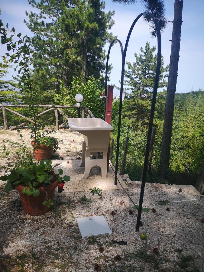 Poggio Eco B&B アスコリ・ピチェーノ エクステリア 写真