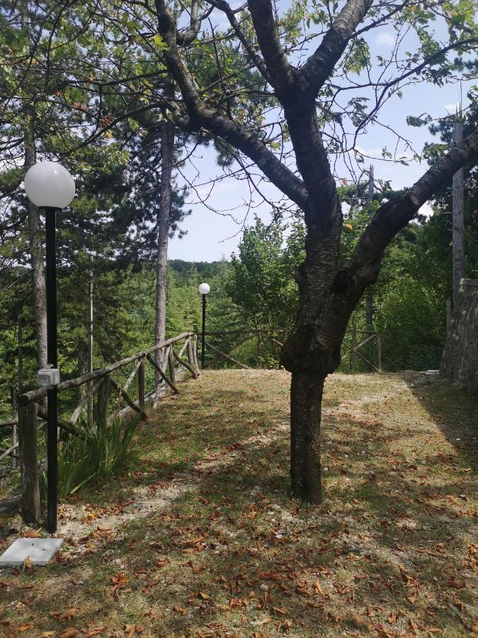 Poggio Eco B&B アスコリ・ピチェーノ エクステリア 写真
