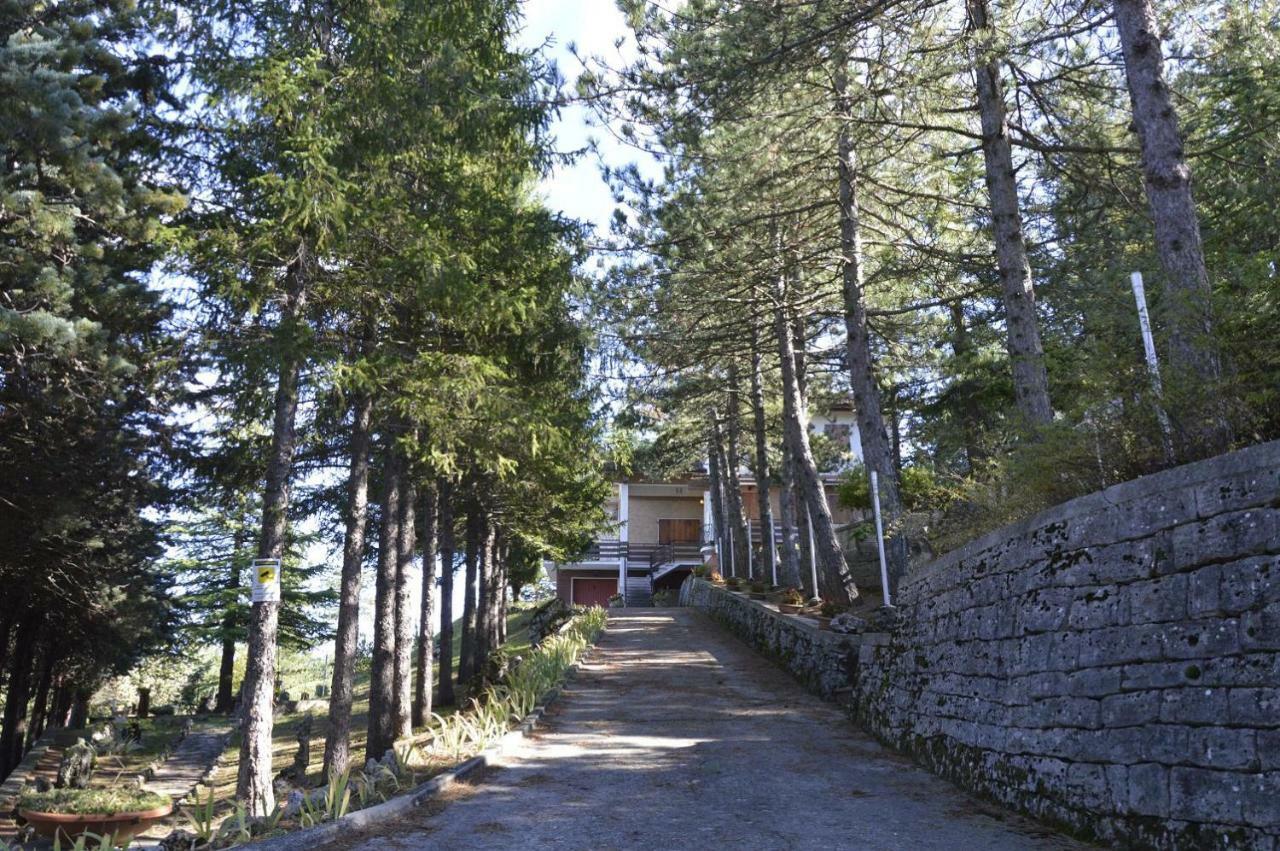 Poggio Eco B&B アスコリ・ピチェーノ エクステリア 写真